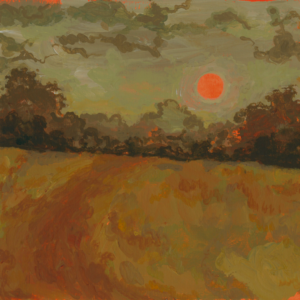 Jankan Eläinpuisto kuovipoika